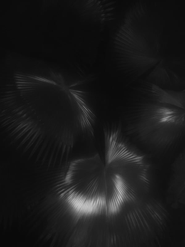 Rogier Houwen, 04 Rogier Houwen - Above Below