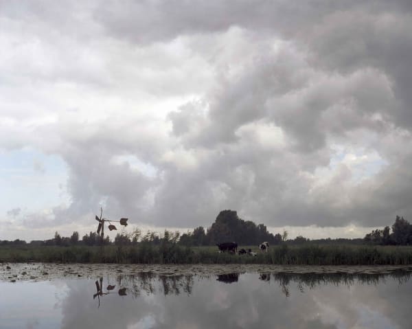 Han Singels, Polder Nieuwkoop en Noorden 2006