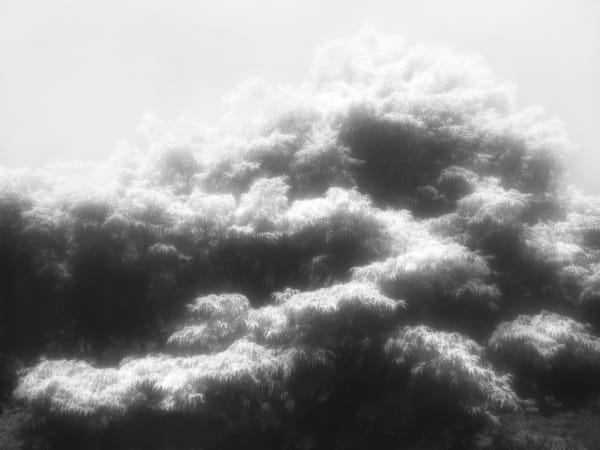 Rogier Houwen, 12 Rogier Houwen - Above Below