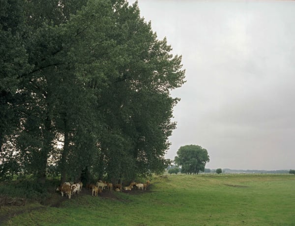 Han Singels, 19 gr Heeseltse Uiterwaarden 2006