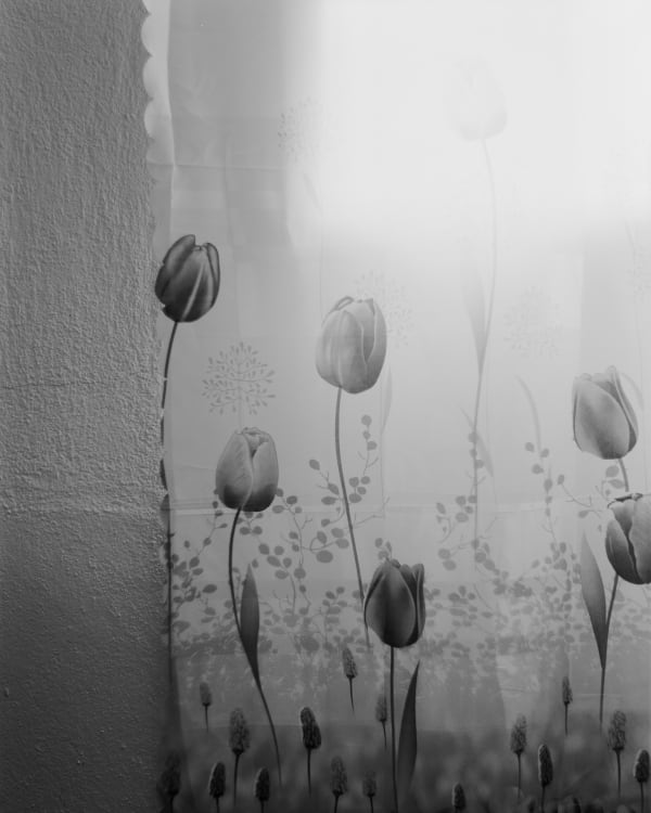 Jenia Fridlyand, Mango Season 13