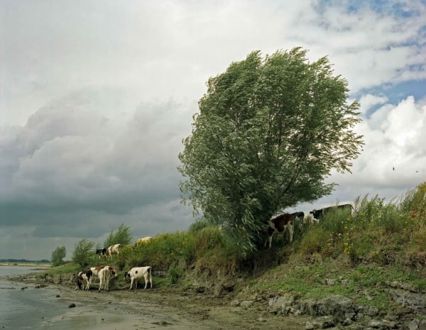 Han Singels, Gamerense Waard 2006