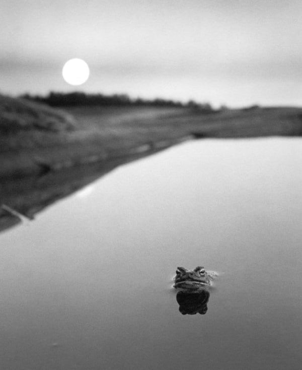 Pentti Sammallahti, Ristisaari, Finland , 1974