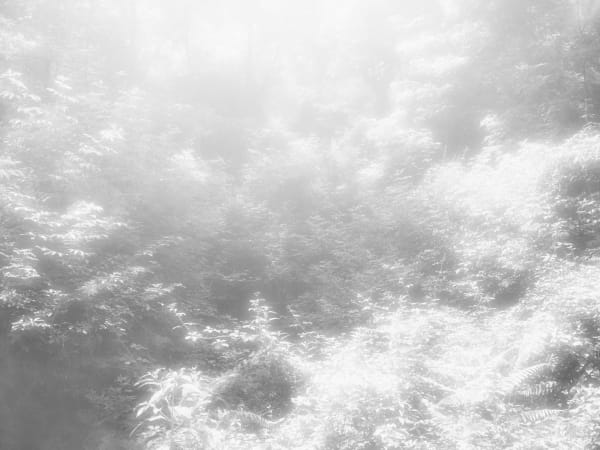 Rogier Houwen, 10 Rogier Houwen - Above Below