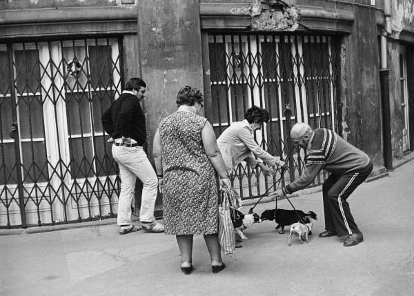 Hans van der Meer, HvdM_MMp109_HUN_ 85_76_27_RT