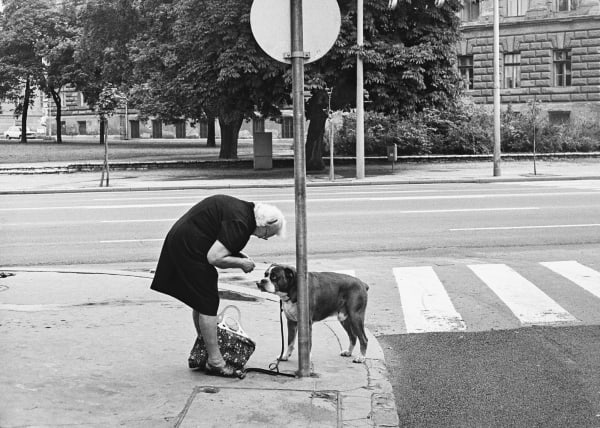 Hans van der Meer, MMp89, 1985