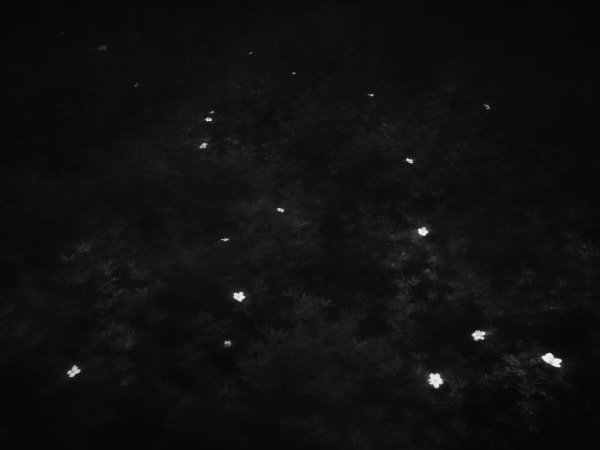 Rogier Houwen, 11 Rogier Houwen - Above Below