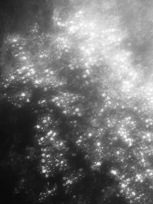 Rogier Houwen, 08 Rogier Houwen - Above Below