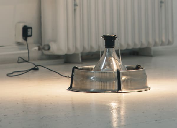 Kévin Blinderman, Face down ass up, 2020