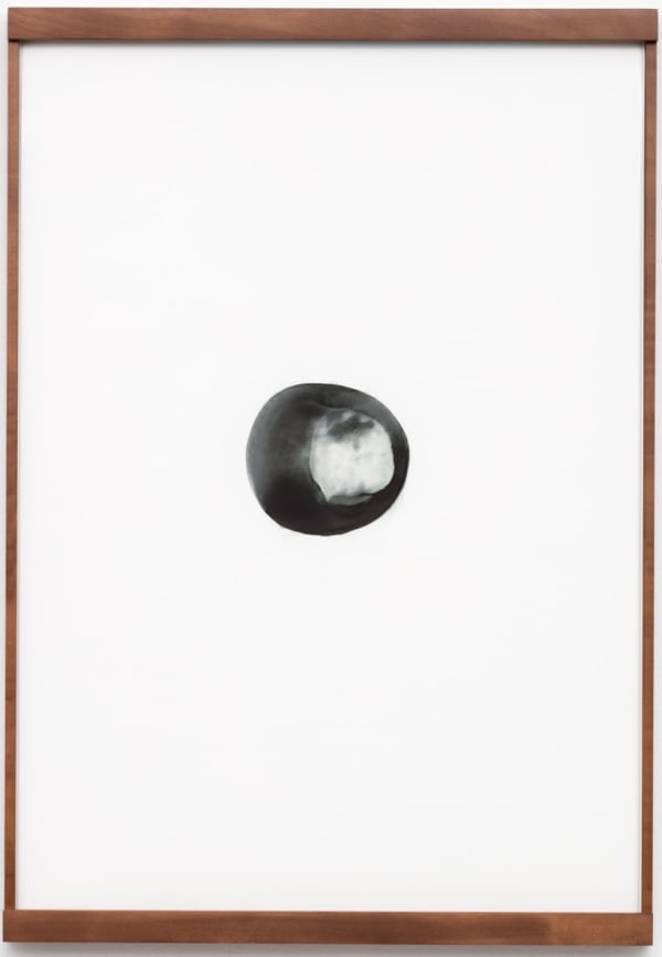 Anri Sala, Them Apples (Save/Besira), 2017