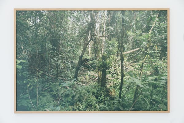 Mathieu Kleyebe Abonnenc, Vieux-Wacapou, Le Cimetière (2), 2017/2018