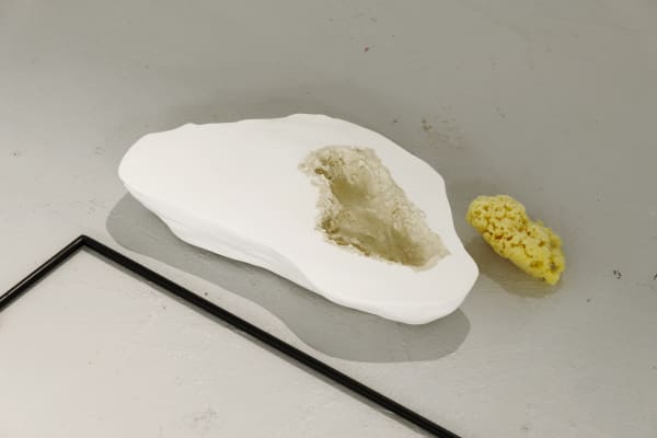 Fanny Gicquel, The confused call of the waters, 2019-2020