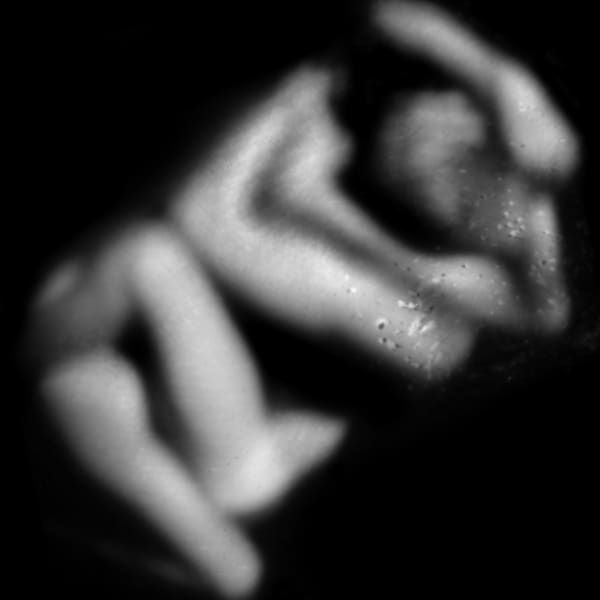 Uroš Abram, Brez naslova XX, 2011