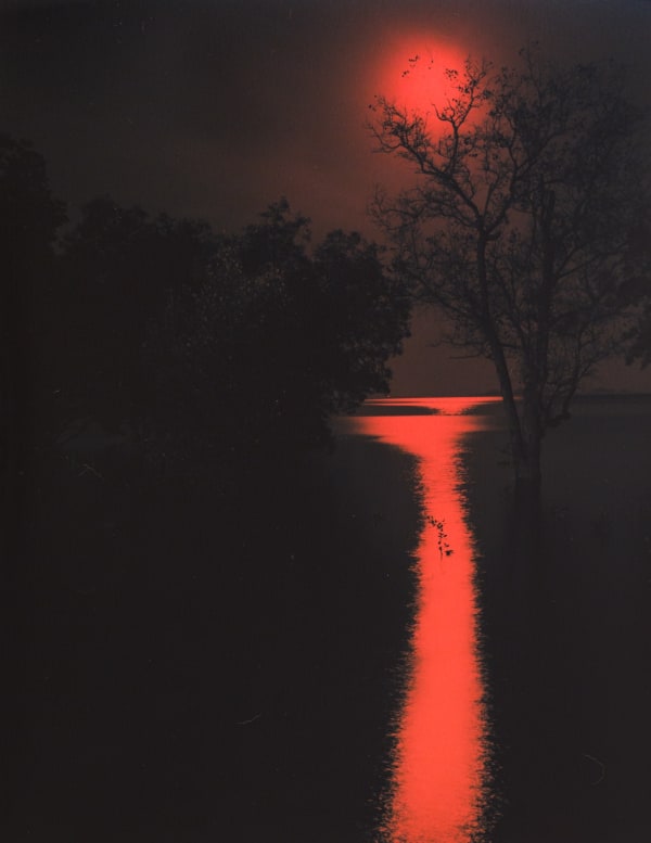 Andrej Lamut, Prehajanje XI / Passing XI, 2024