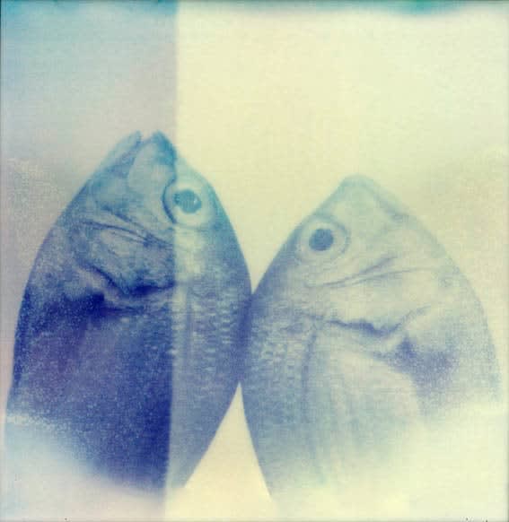 SILENTIUM
