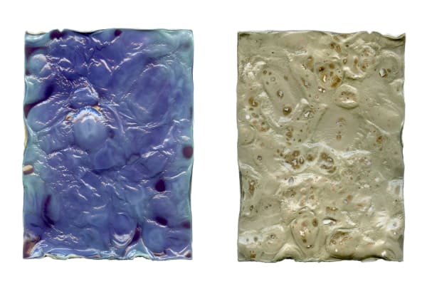 Sara Rman, EKTACOLOR type L 1602 #1, 2020