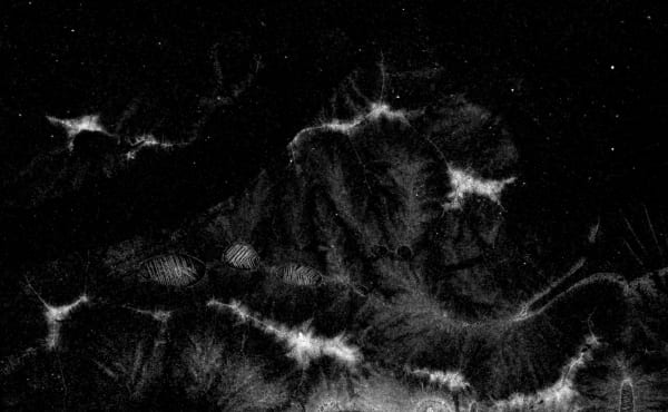 DK, Preostanki 19 / Remnants 19, 2021