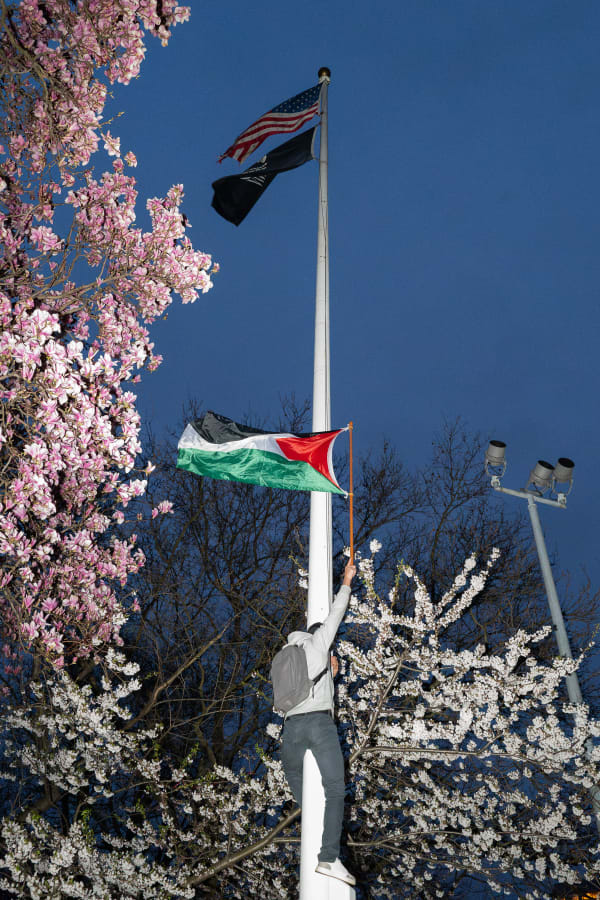 Nik Erik Neubauer, Washington Square Park, 2019