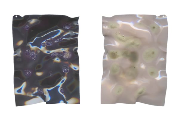 Sara Rman, AGFACHROME 50s #23, 2020