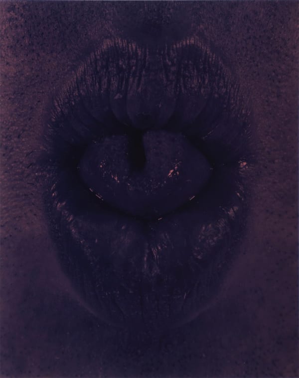 Andrej Lamut, Prehajanje XIII / Passing XIII, 2024