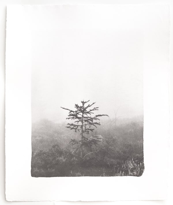 Hannah Schemel, Kigen #167, 2020