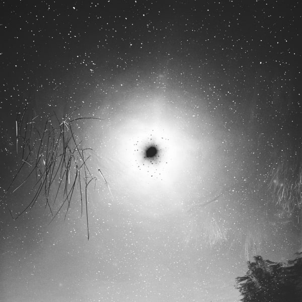 Andrej Lamut, Teritorij VIII / Territory VIII, 2022