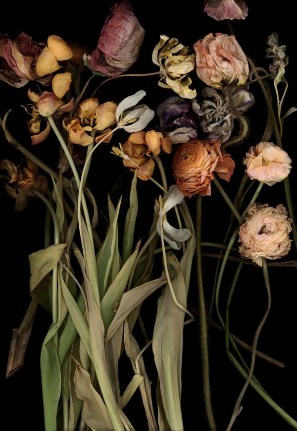 Luzia Simons, Stockage 183, 2019