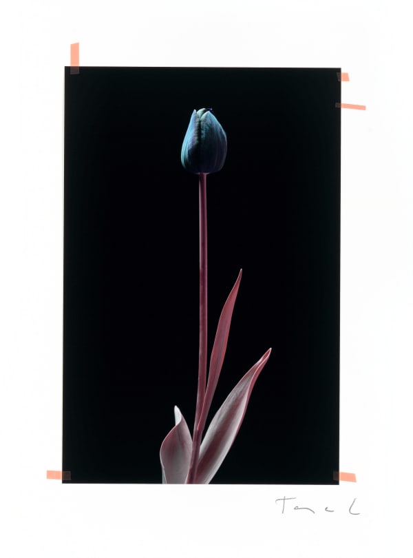 Tanja Lažetić, R#69, 2019/2020