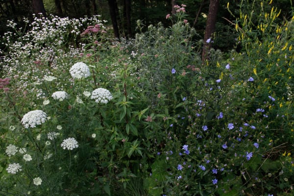 Janez Bogataj, Bagatelles #15, 2016