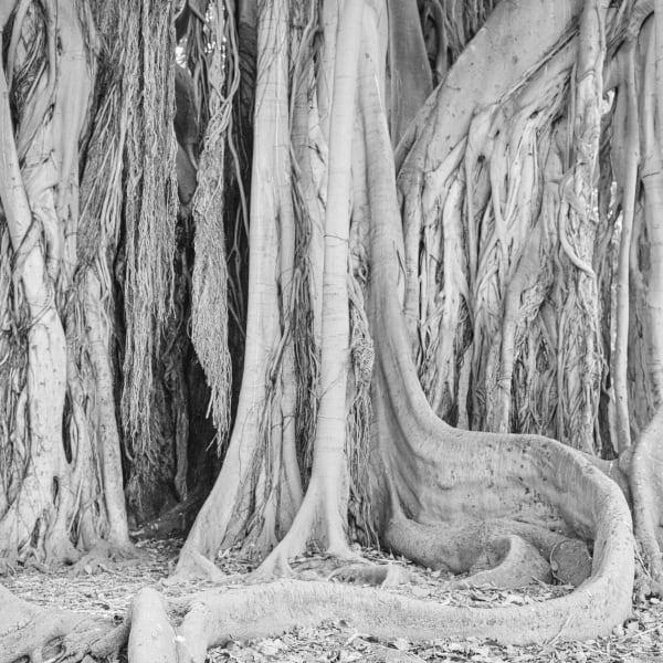 Andrej Lamut, Teritorij VII / Territory VII, 2022