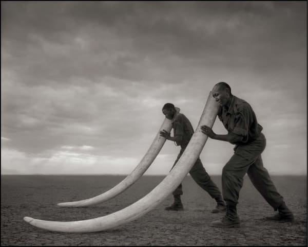 Nick Brandt, Gozdna čuvaja z okloma slona, ki ga je ubil človek, Amboseli, 2011