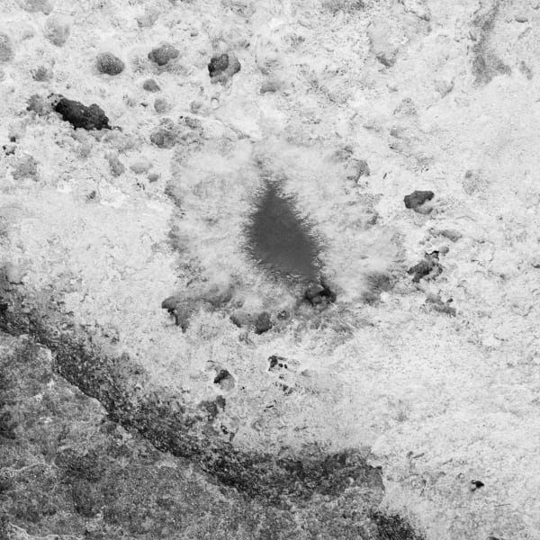 Andrej Lamut, Teritorij VI / Territory VI, 2022