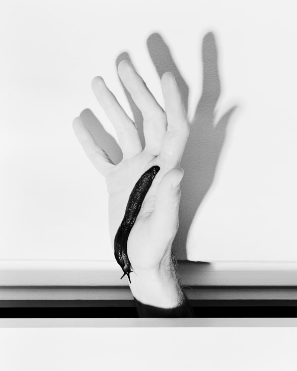 Andrej Lamut, Deljenje z nič II / Dividing by Zero II, 2024