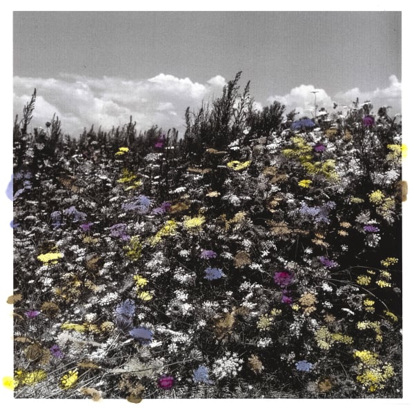 Tilyen Mucik, Žbunje watercolor 4 / Shrubs watercolor 4, 2020