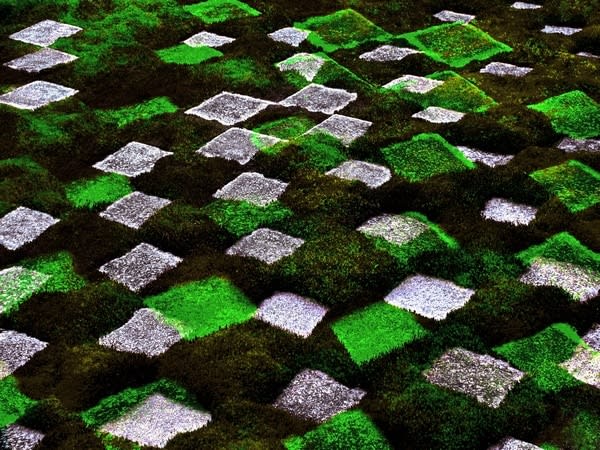 Metka Vergnion, Vzorec mahu / Moss pattern, 2010