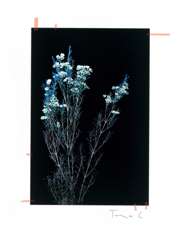 Tanja Lažetić, R#73, 2019/2020