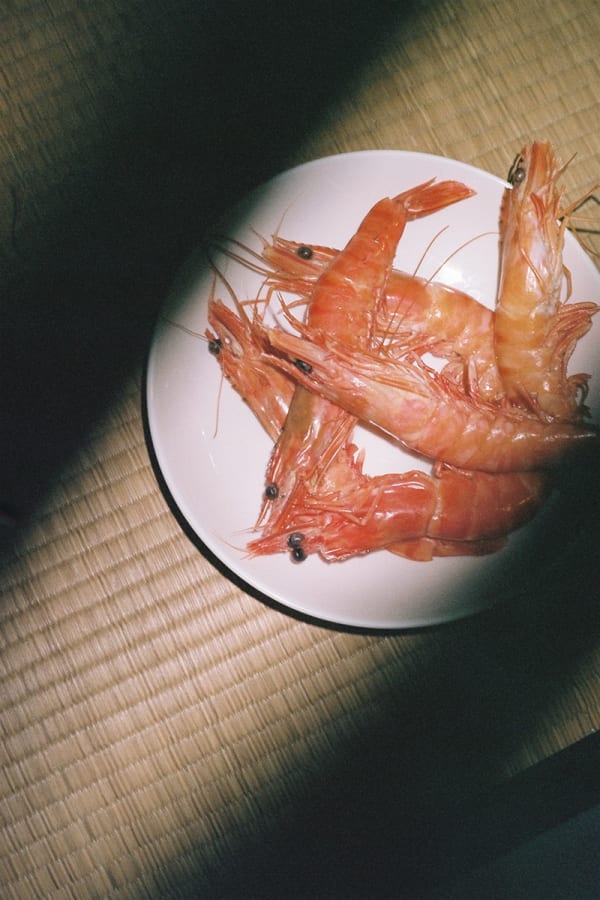 Tereza Kozinc, The Seduction #2, 2020