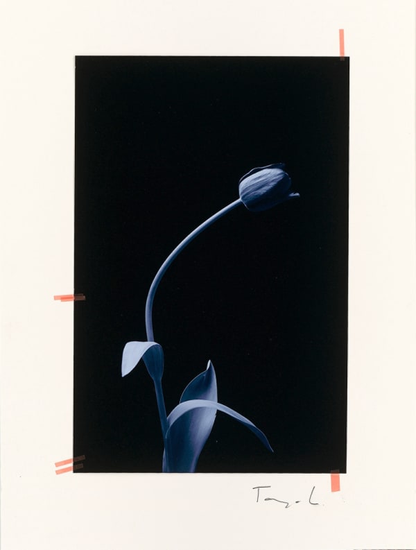 Tanja Lažetić, R#69, 2019/2020