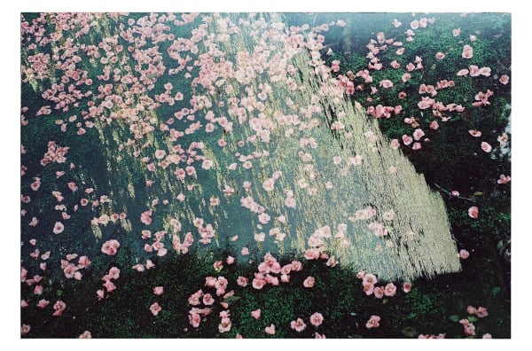 Bojan Brecelj, I AM Torcello & Kotoku-in Temple, 2023