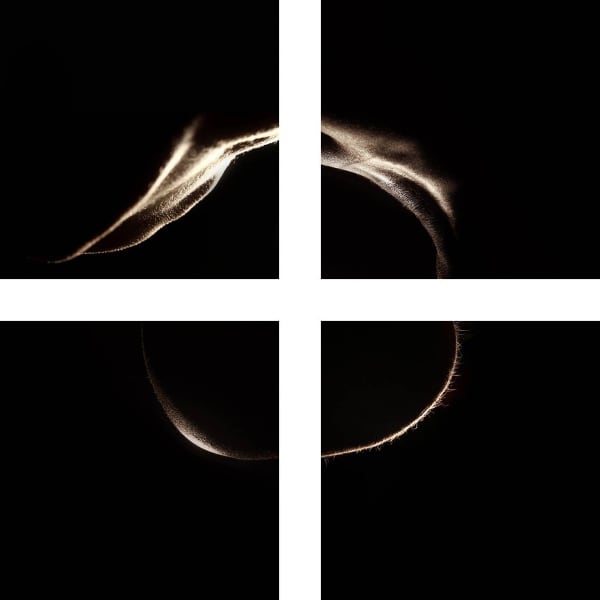 Uroš Abram, Luknja, 2011