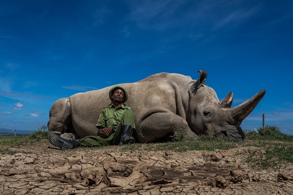 Matjaž Krivic, Rhino 11, 2021