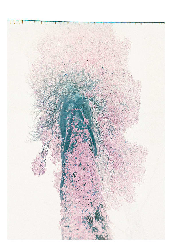 Tereza Kozinc, V iskanju Stenlija #16 / Finding Stenli #16, 2018