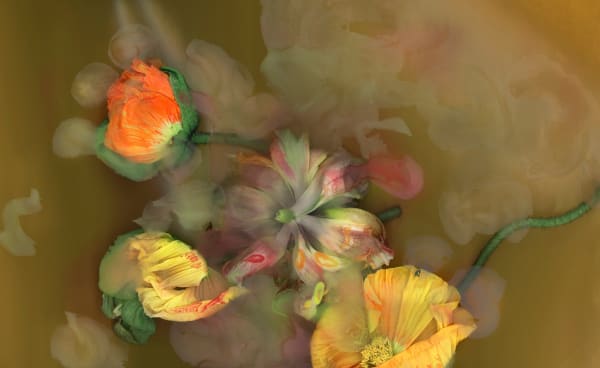 Luzia Simons, Stockage 150, 2015