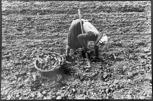 Stojan Kerbler, Sajenje / Planting, 1978
