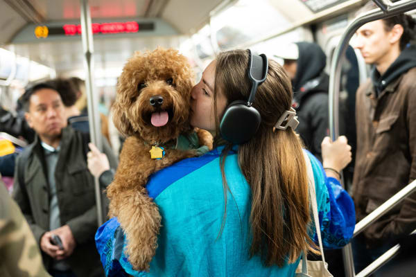 Nik Erik Neubauer, Prva pomladna nedelja / The First Sunday of Spring, 2019