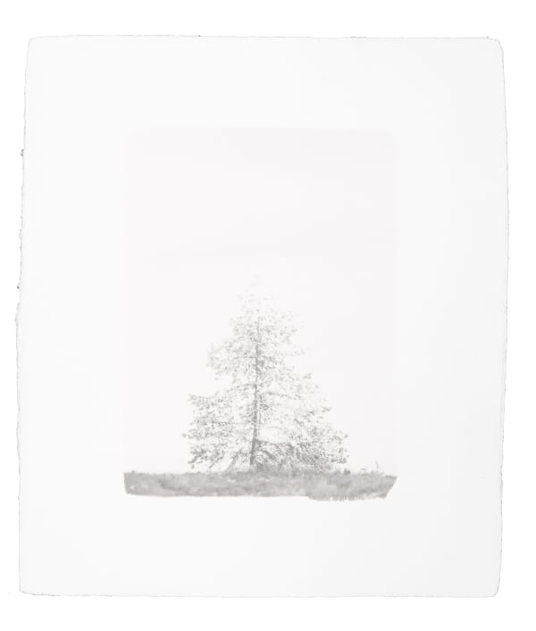 Hannah Schemel, Kigen #105, 2021