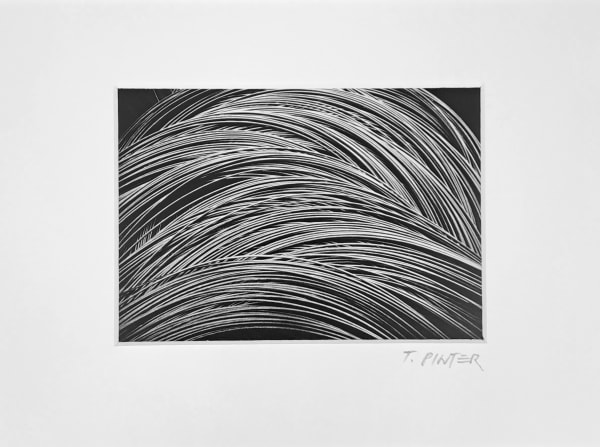 Tihomir Pinter, Brez naslova #2, Ravne na Koroškem, 1978