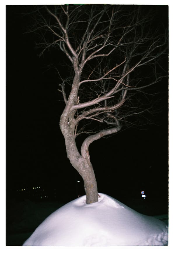 Tereza Kozinc, Hokkaido #1, 2018