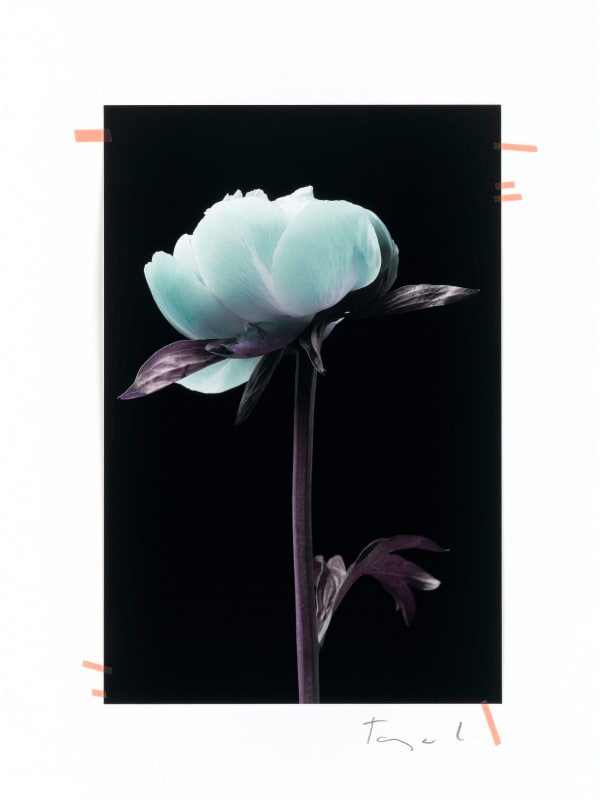 Tanja Lažetić, R#19, 2019/2020