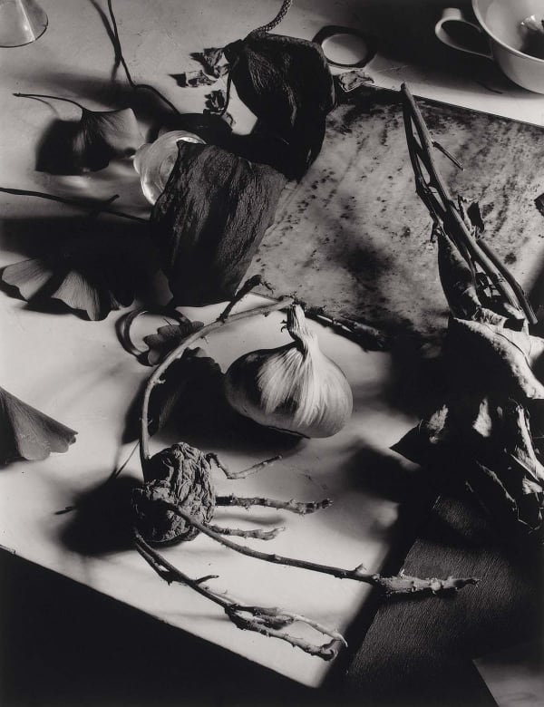 Boris Gaberščik, Česen / Garlic, 1995